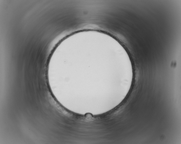 X0000111781326200909031123