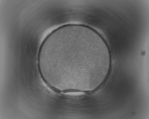X0000111781327200909031123