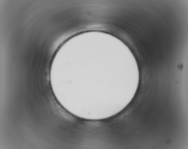 X0000111781328200909031123