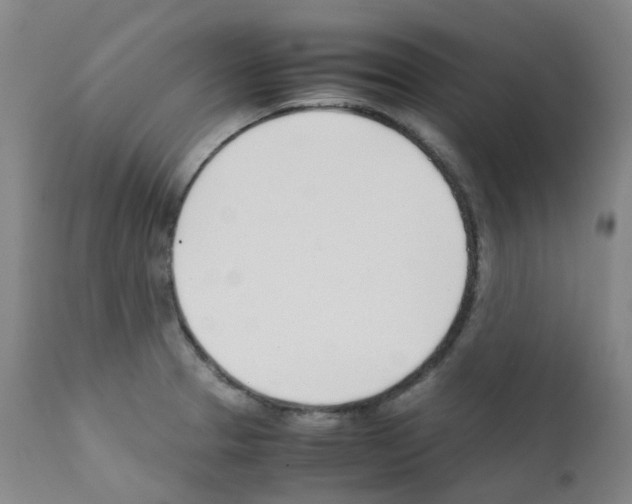 X0000111781329200909031124