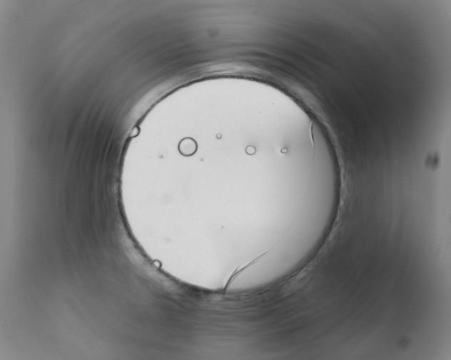X0000111781330200909031124