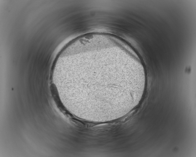 X0000111781331200909031124