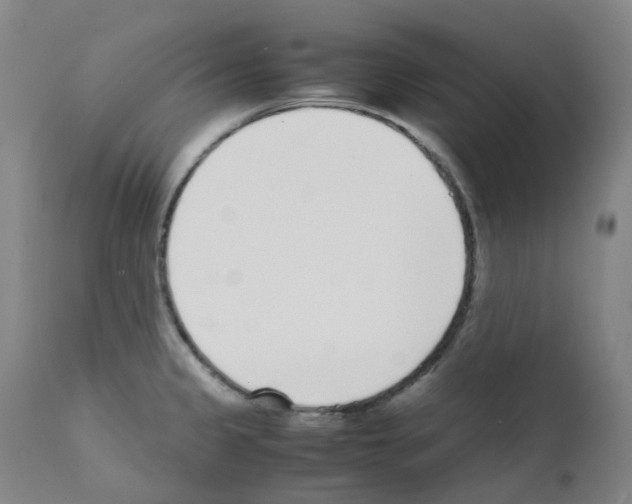X0000111781333200909031124