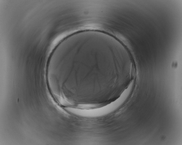 X0000111781334200909031124
