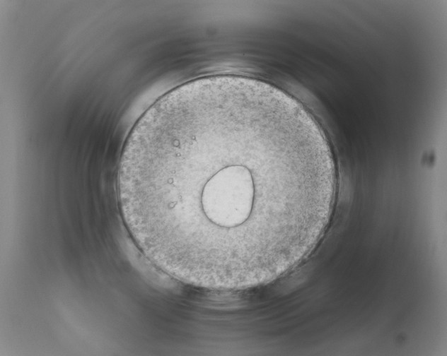 X0000111781338200909031124