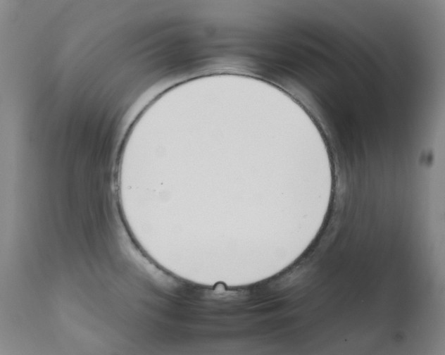 X0000111781339200909031124