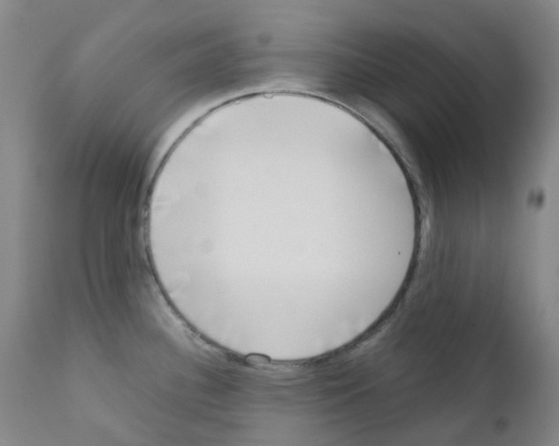 X0000111781340200909031124