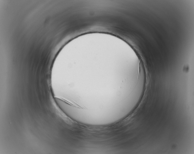 X0000111781342200909031124