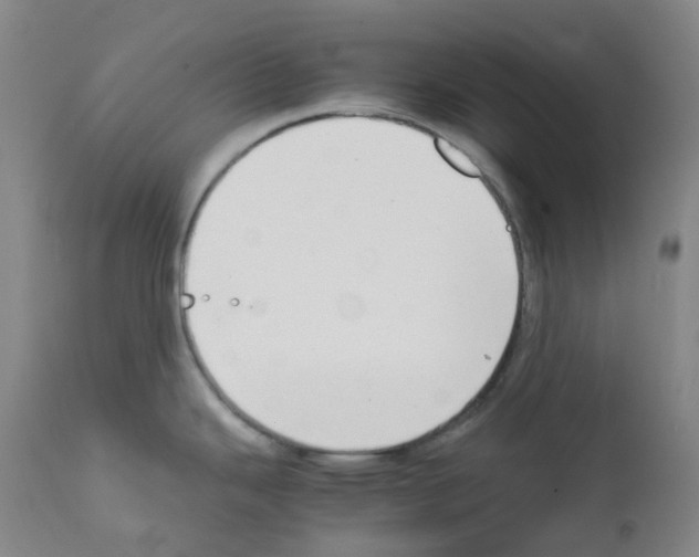 X0000111781343200909031124