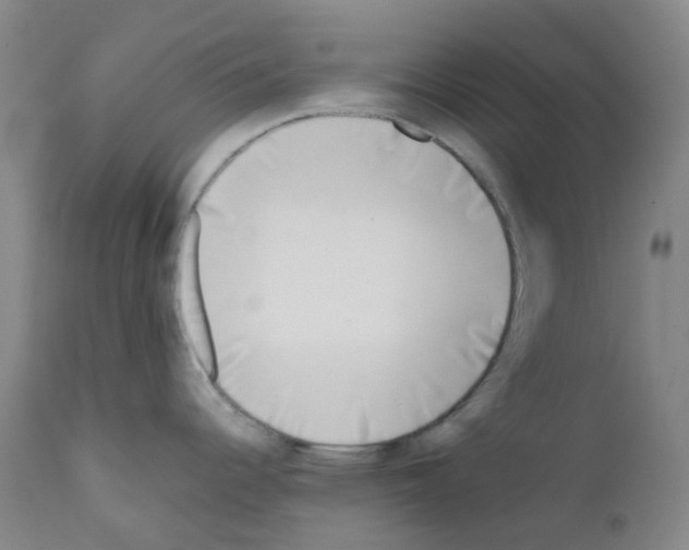 X0000111781344200909031124