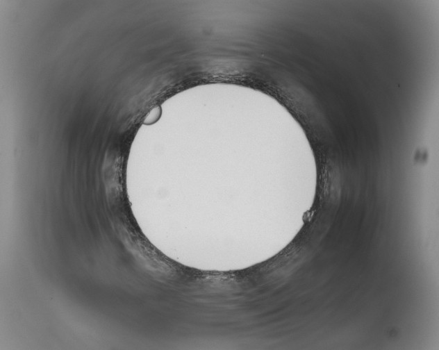 X0000111781346200909031123