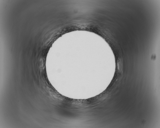 X0000111781347200909031123