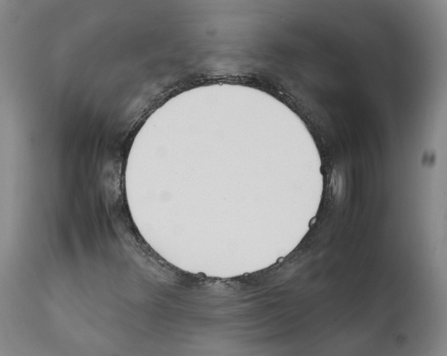 X0000111781348200909031123