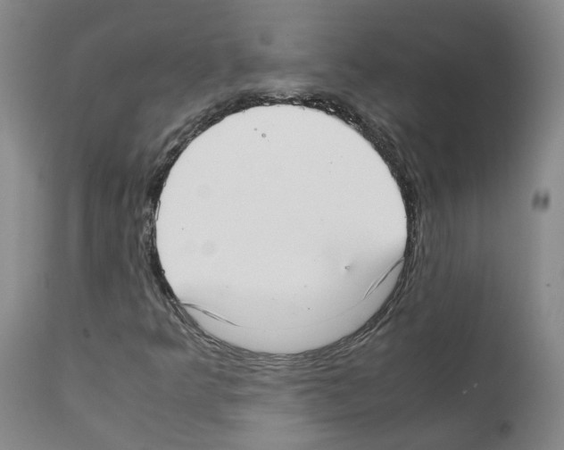 X0000111781349200909031123