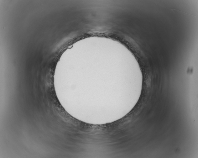 X0000111781350200909031123