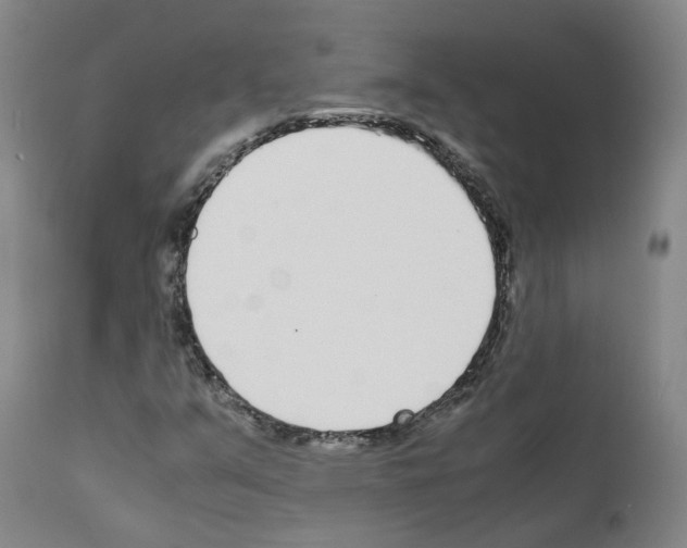 X0000111781351200909031123