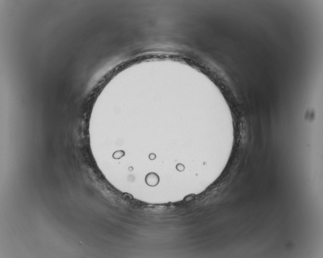 X0000111781352200909031123