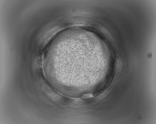 X0000111781353200909031123