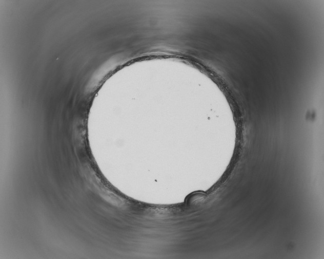 X0000111781355200909031123