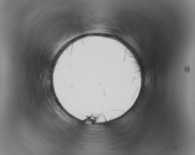 X0000111781356200909031123