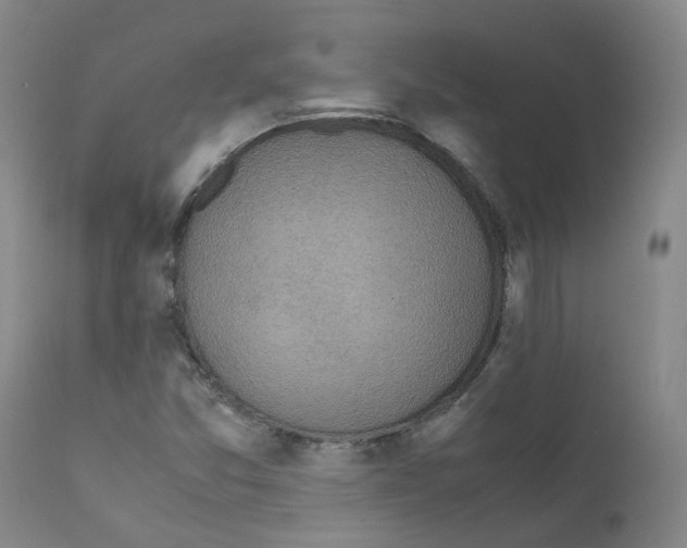 X0000111781357200909031123