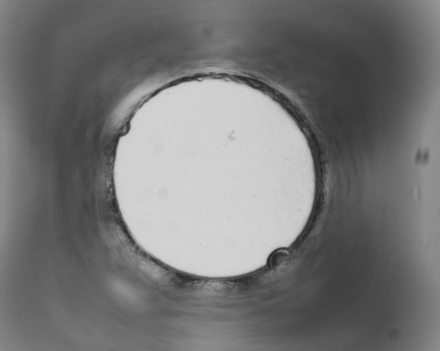 X0000111781359200909031123
