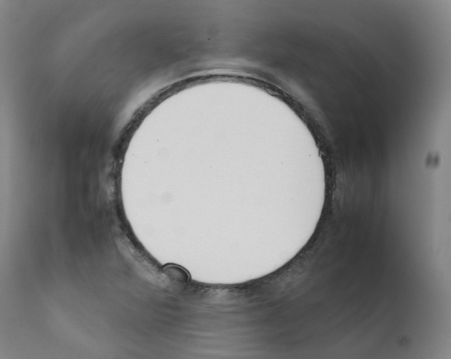 X0000111781360200909031123