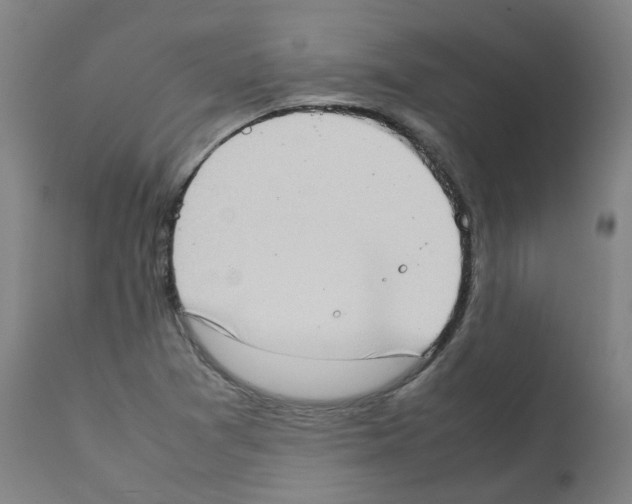 X0000111781361200909031123