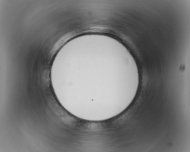 X0000111781362200909031123