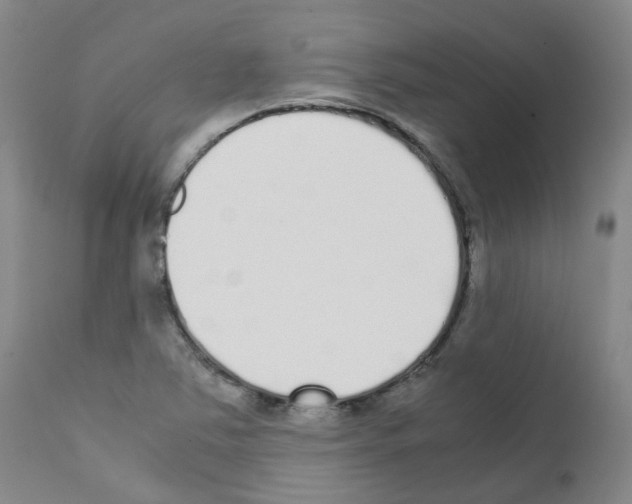 X0000111781363200909031123