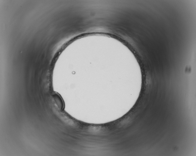 X0000111781364200909031123