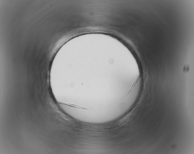 X0000111781365200909031123