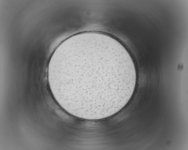 X0000111781366200909031123