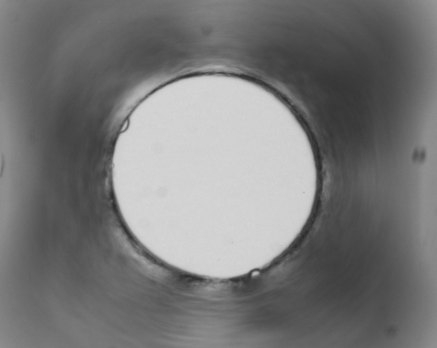 X0000111781367200909031123