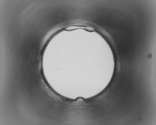 X0000111781368200909031123