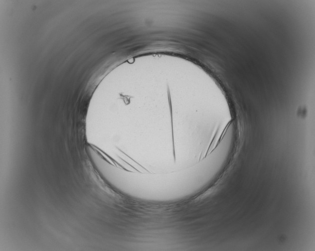 X0000111781369200909031123