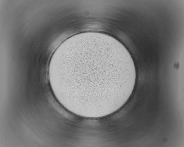 X0000111781370200909031123