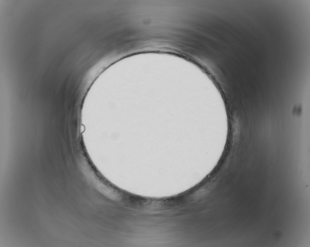 X0000111781371200909031123