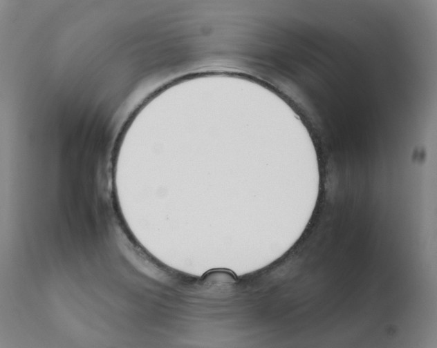 X0000111781372200909031123
