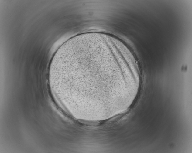 X0000111781373200909031123