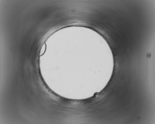 X0000111781375200909031122
