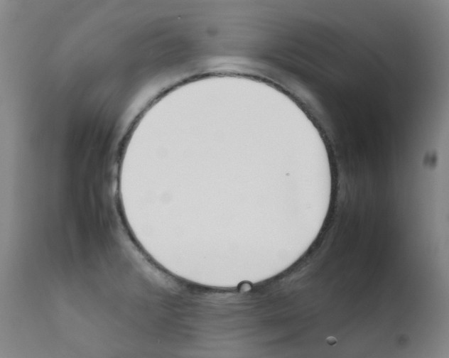 X0000111781376200909031122