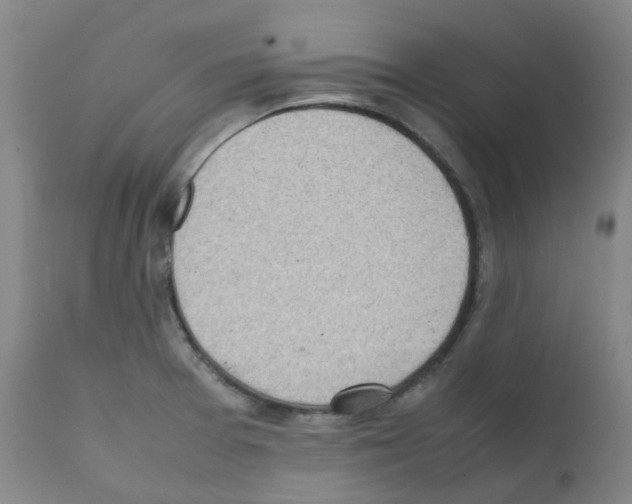 X0000111781377200909031122