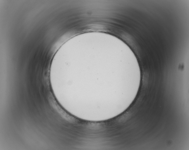 X0000111781378200909031122