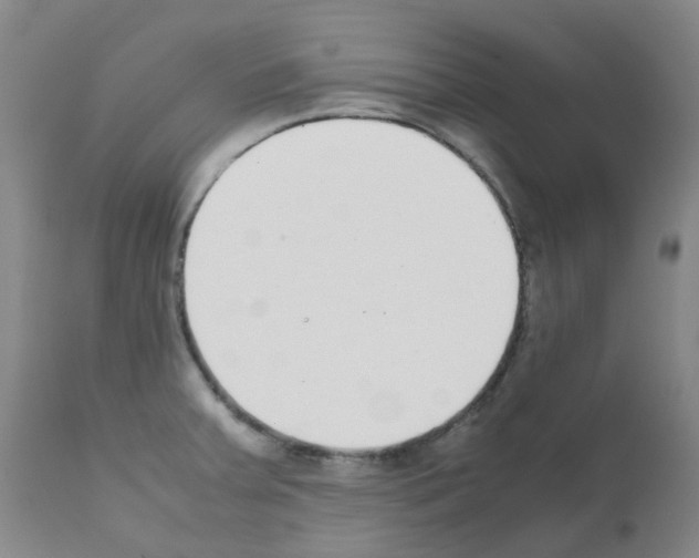 X0000111781379200909031122