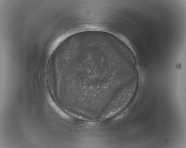 X0000111781381200909031122