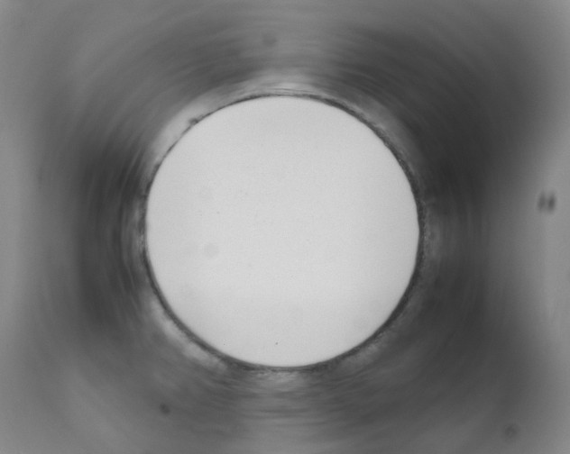 X0000111781382200909031122