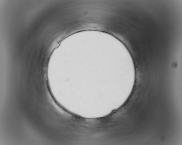 X0000111781383200909031122