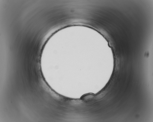 X0000111781384200909031122