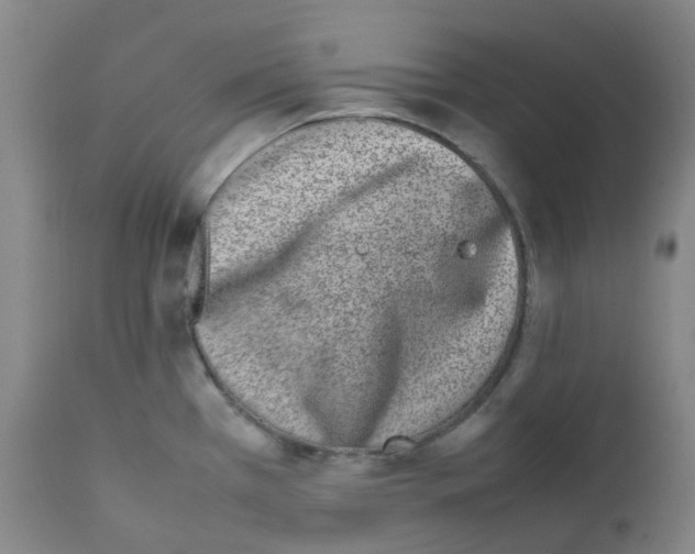 X0000111781385200909031122